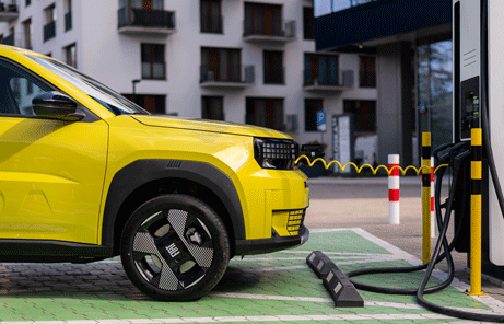 Grande Panda E od 250 zł netto/mies!